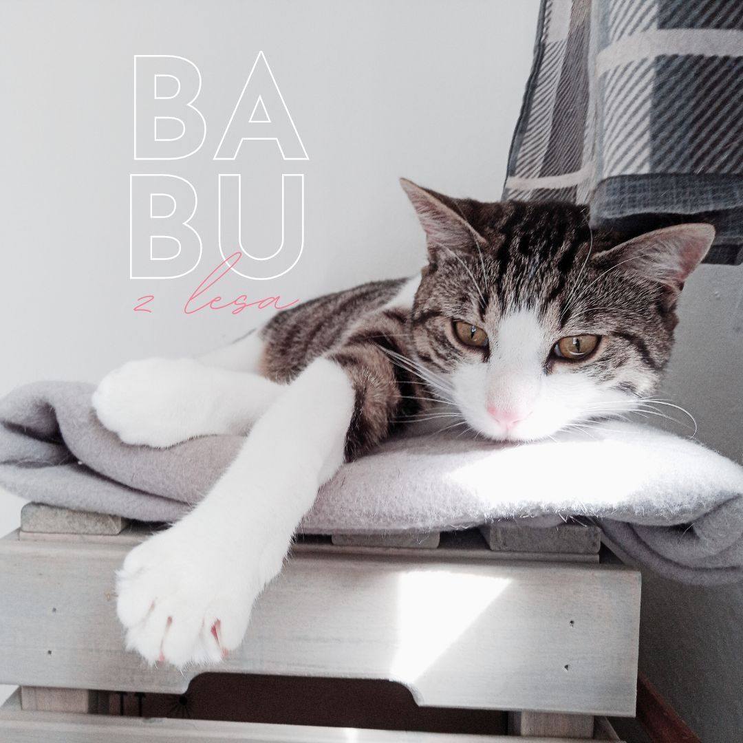 BABU Z LESA pink, kdo je