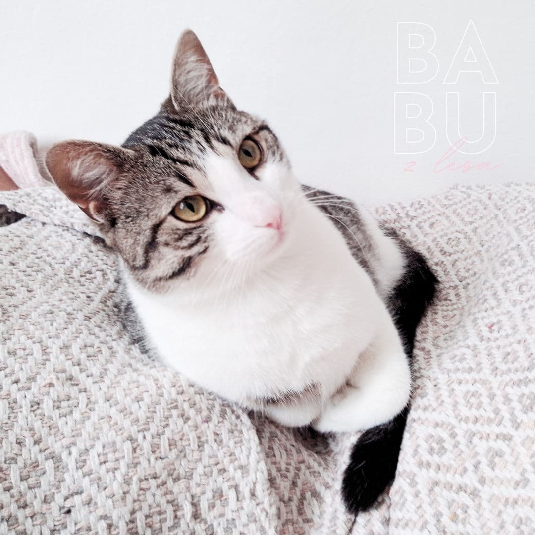 Pink BABU N